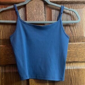 American Eagle Outfitters Blue Sleeveless Fitted Camisole
